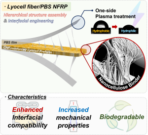 hierarchical-interfacial-engineering-of-lyocell-fiber-polybutylene-succinate-composites-for-robust-biodegradable-natural-fiber–reinforced-plastics