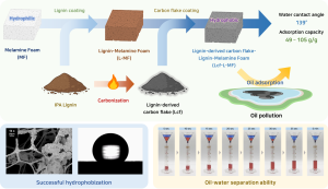 lignin-derived-carbon-flake-sorbent-for-efficient-oil–water-separation