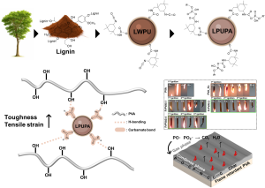 graphical abstract