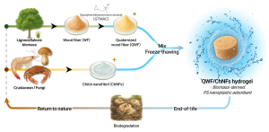 graphical abstract_lowres